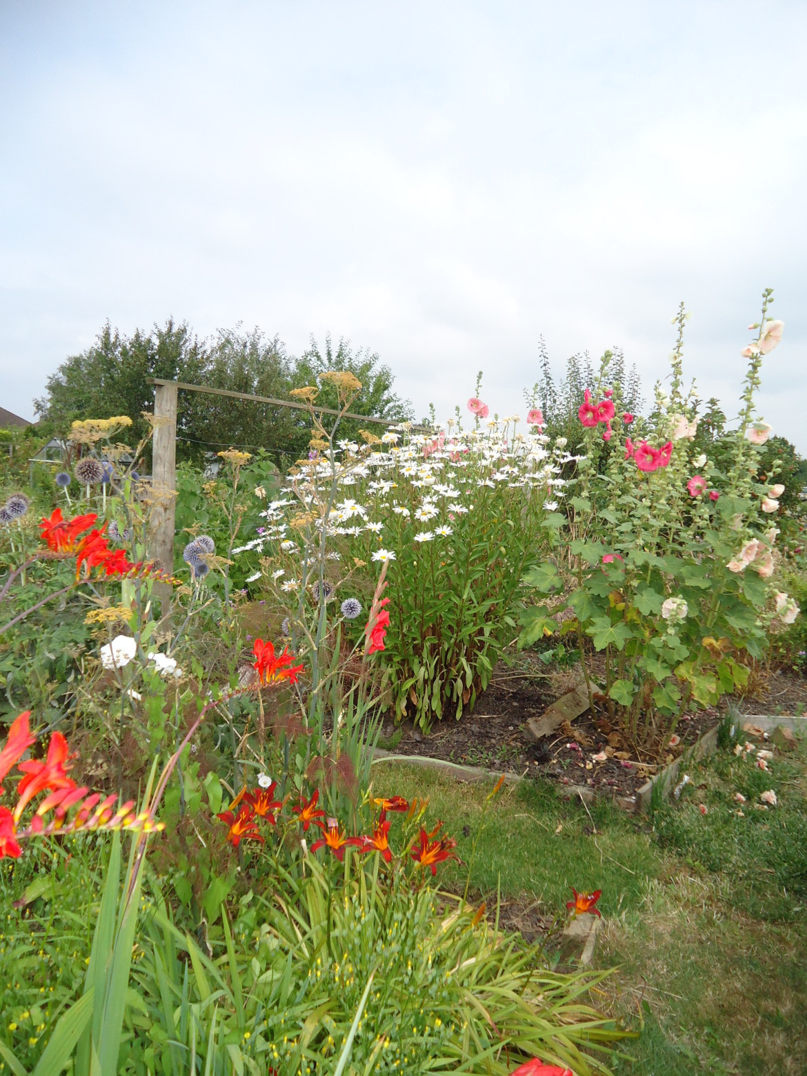 Hampton Court Way Allotment Association Hampton Court Way, Thames